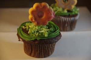 Cupcakes -   2063