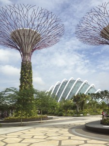 The dome and the trees - it was a beautiful day for a visit