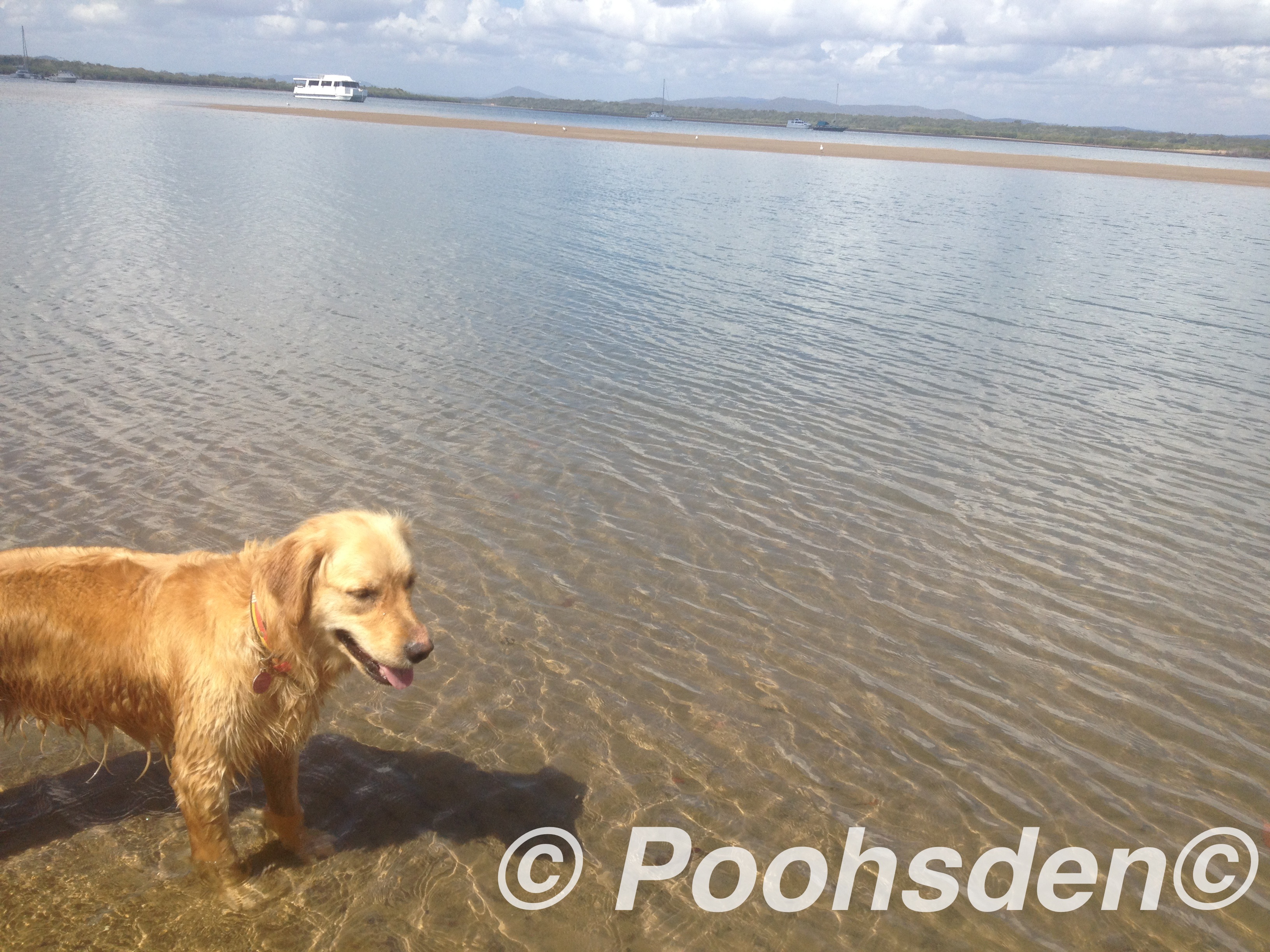 Watching the waters and waiting 