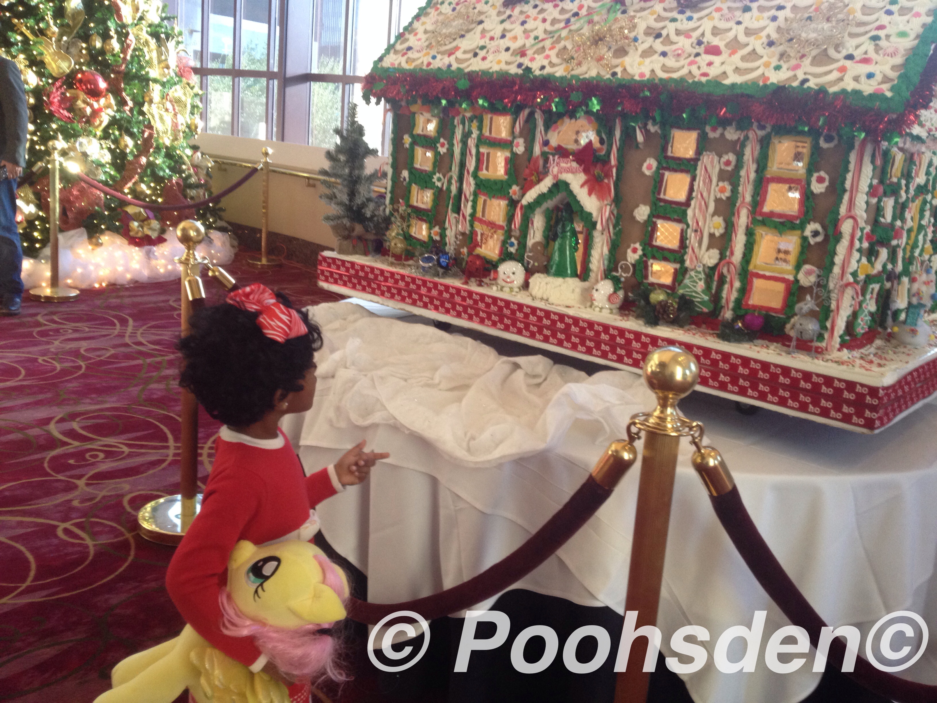 Watching the huge gingerbread house at Houston Wortham Center