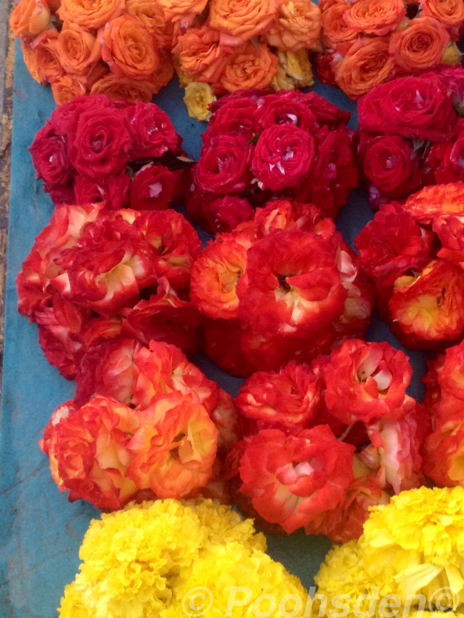 Roses for sale at the roadside, Chennai, India