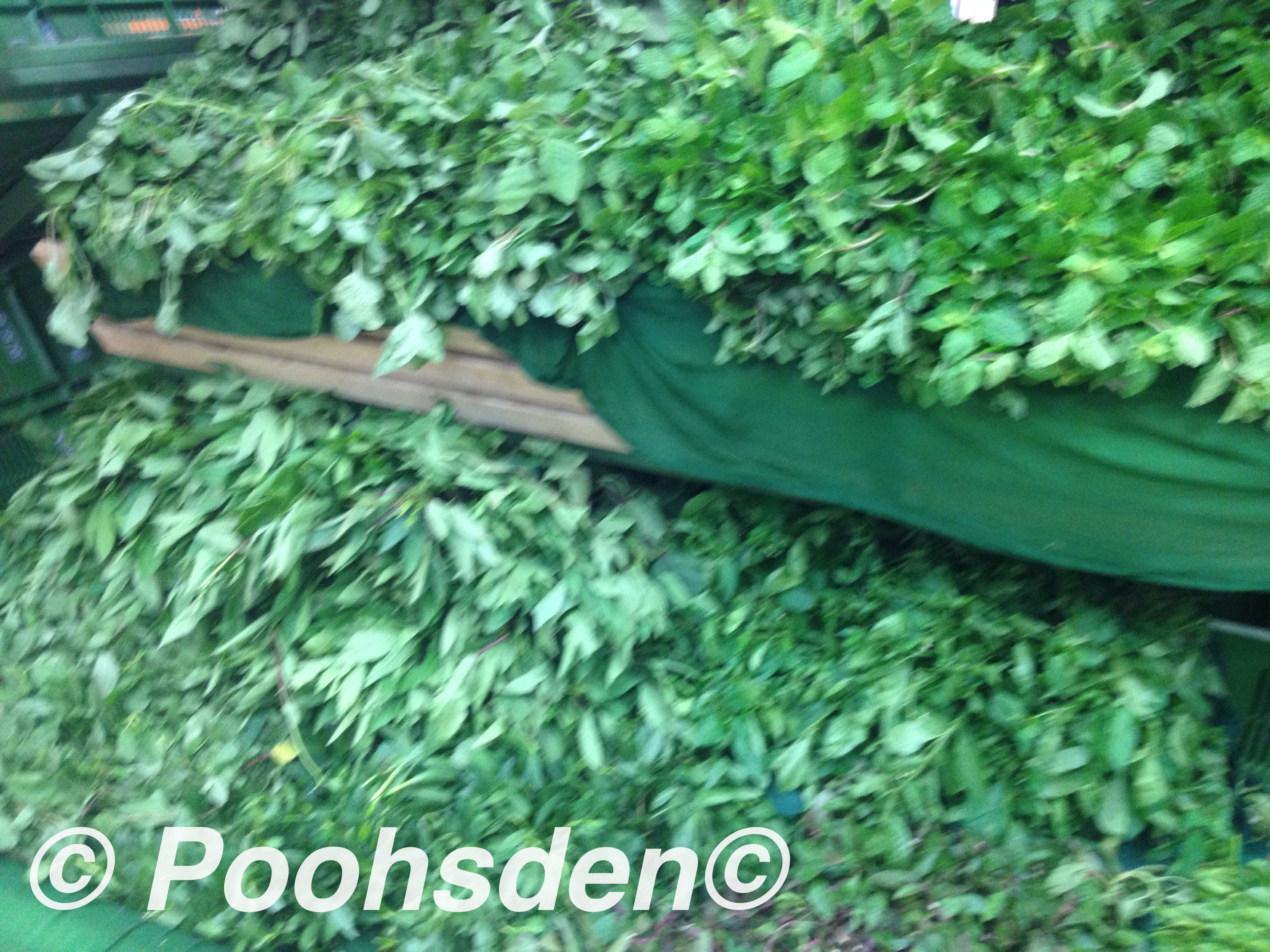 Leafy Greens for sale, Chennai