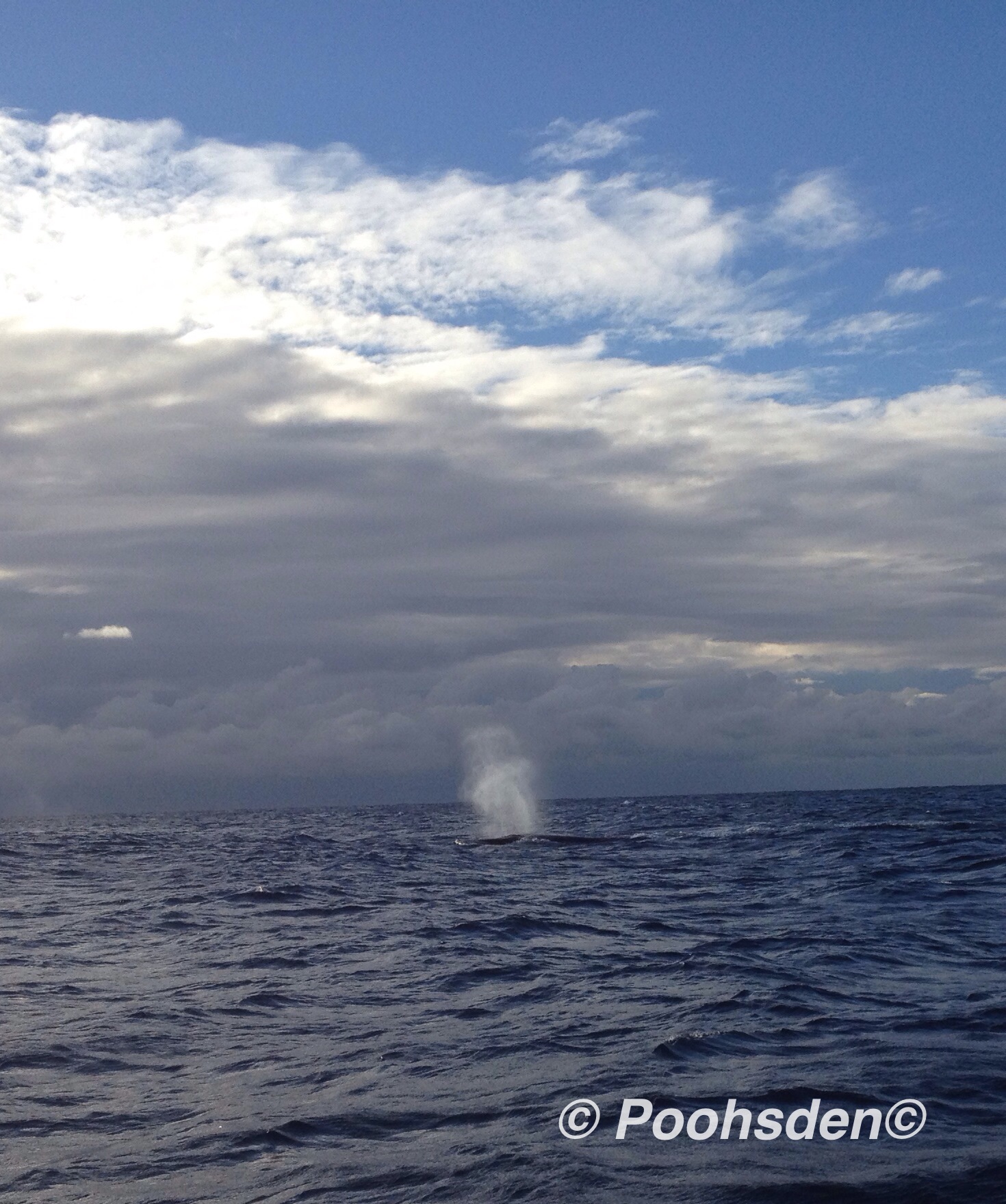 This is the indicator - a fine mist fountain in the middle of the ocean