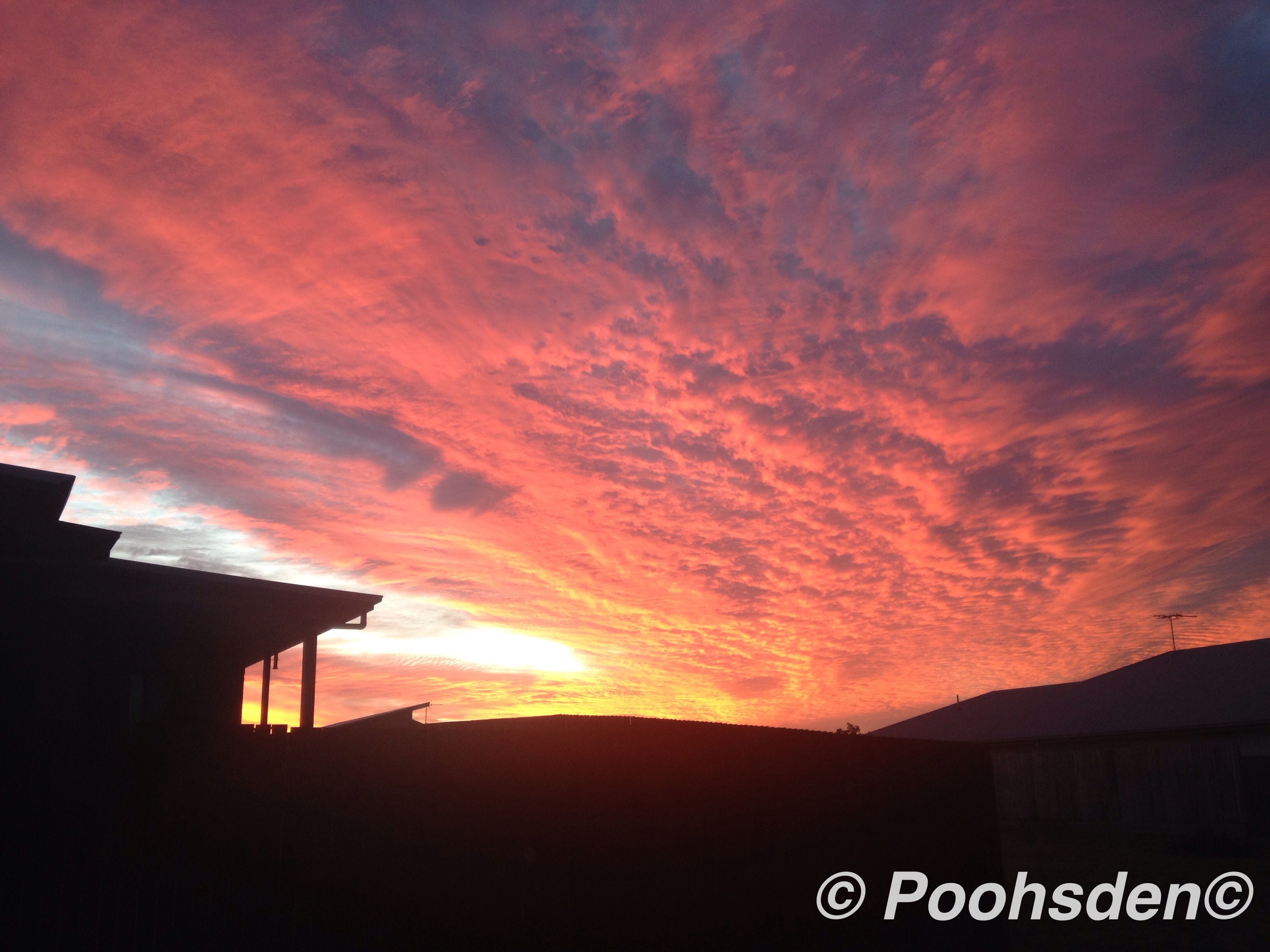 The fiery sunset captured from my backyard