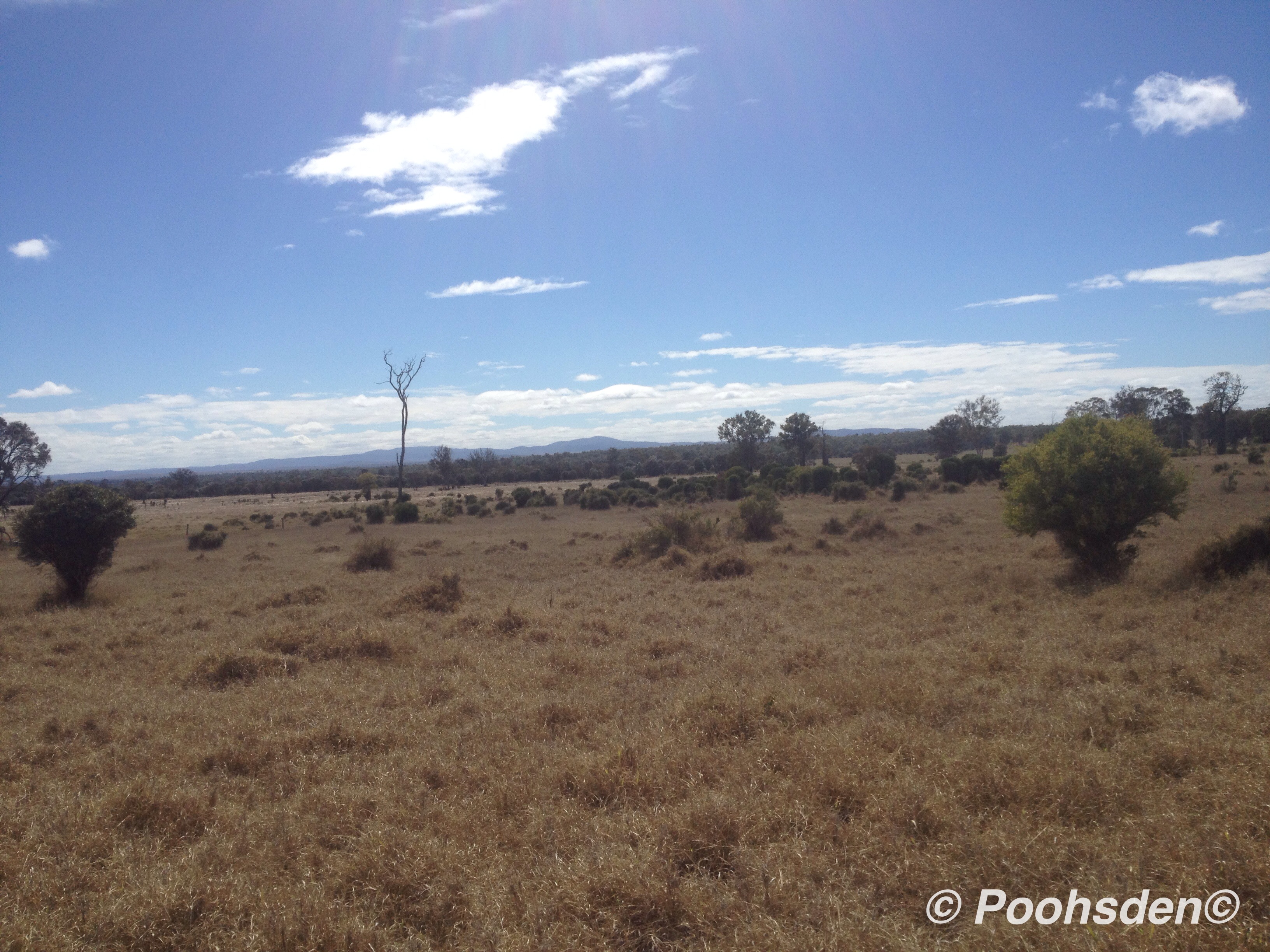 This is Queensland Bush