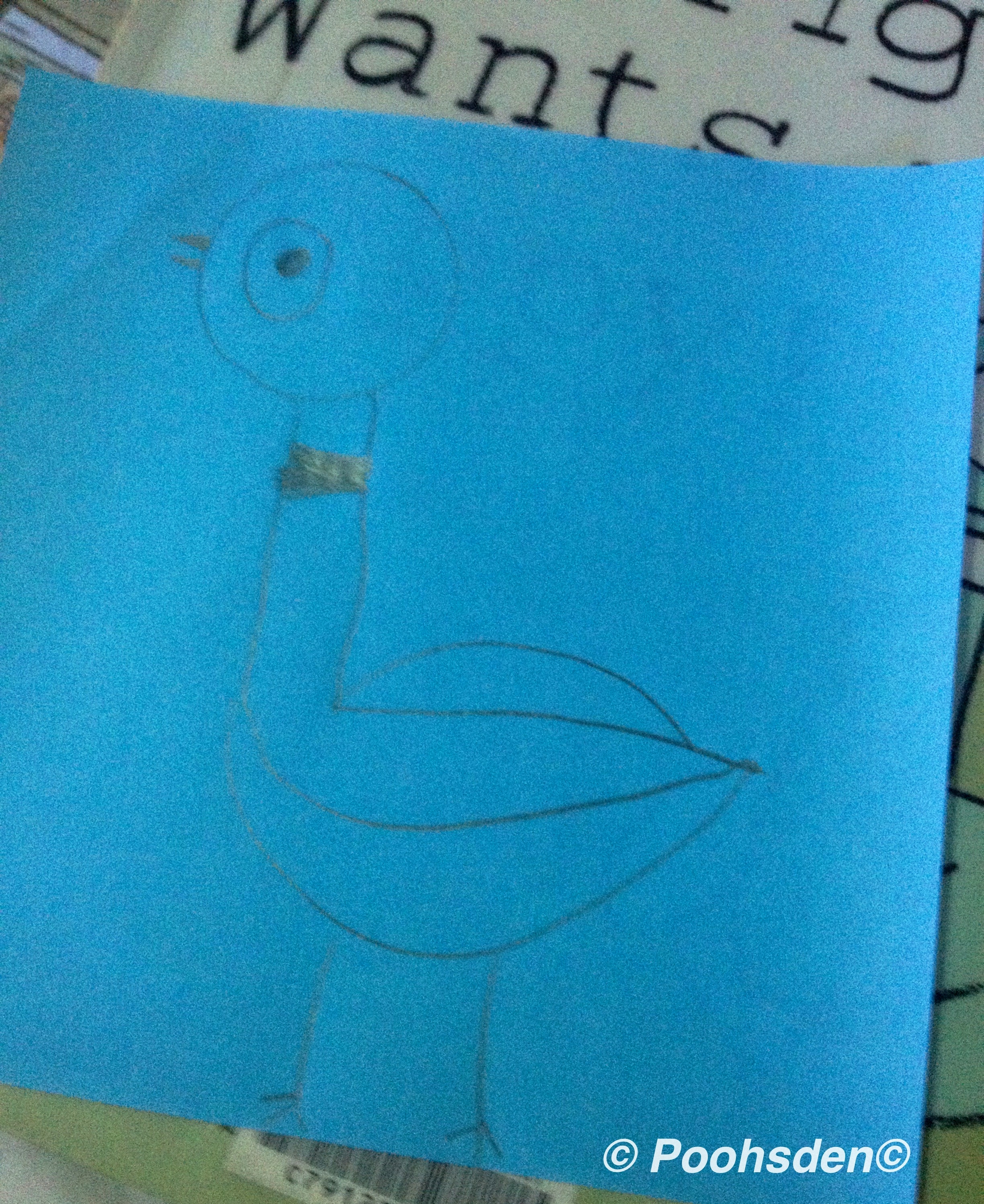 Kuttyma 's attempt to capture the quirky pigeon