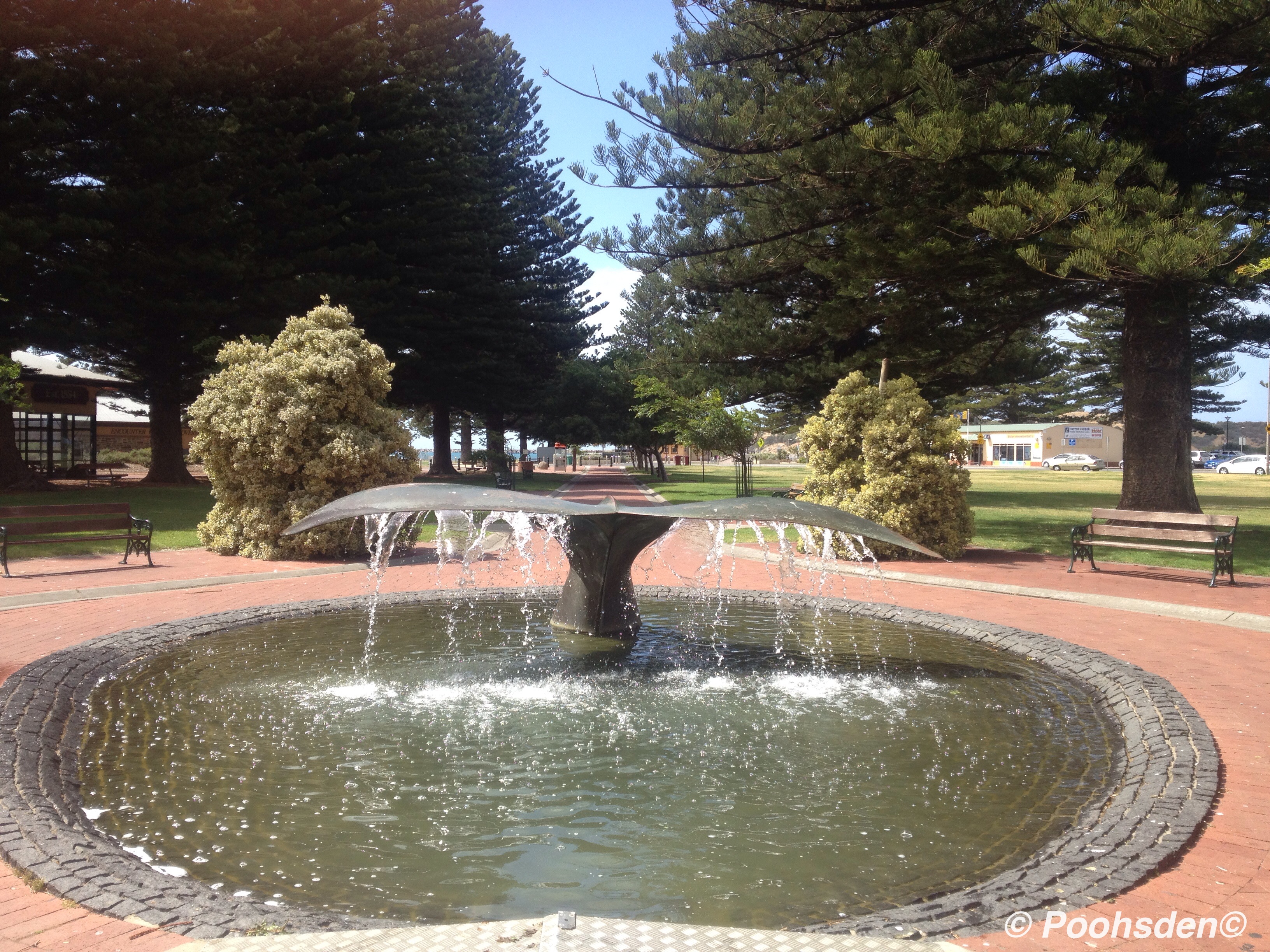 The whale fountain in Victor Harbour 