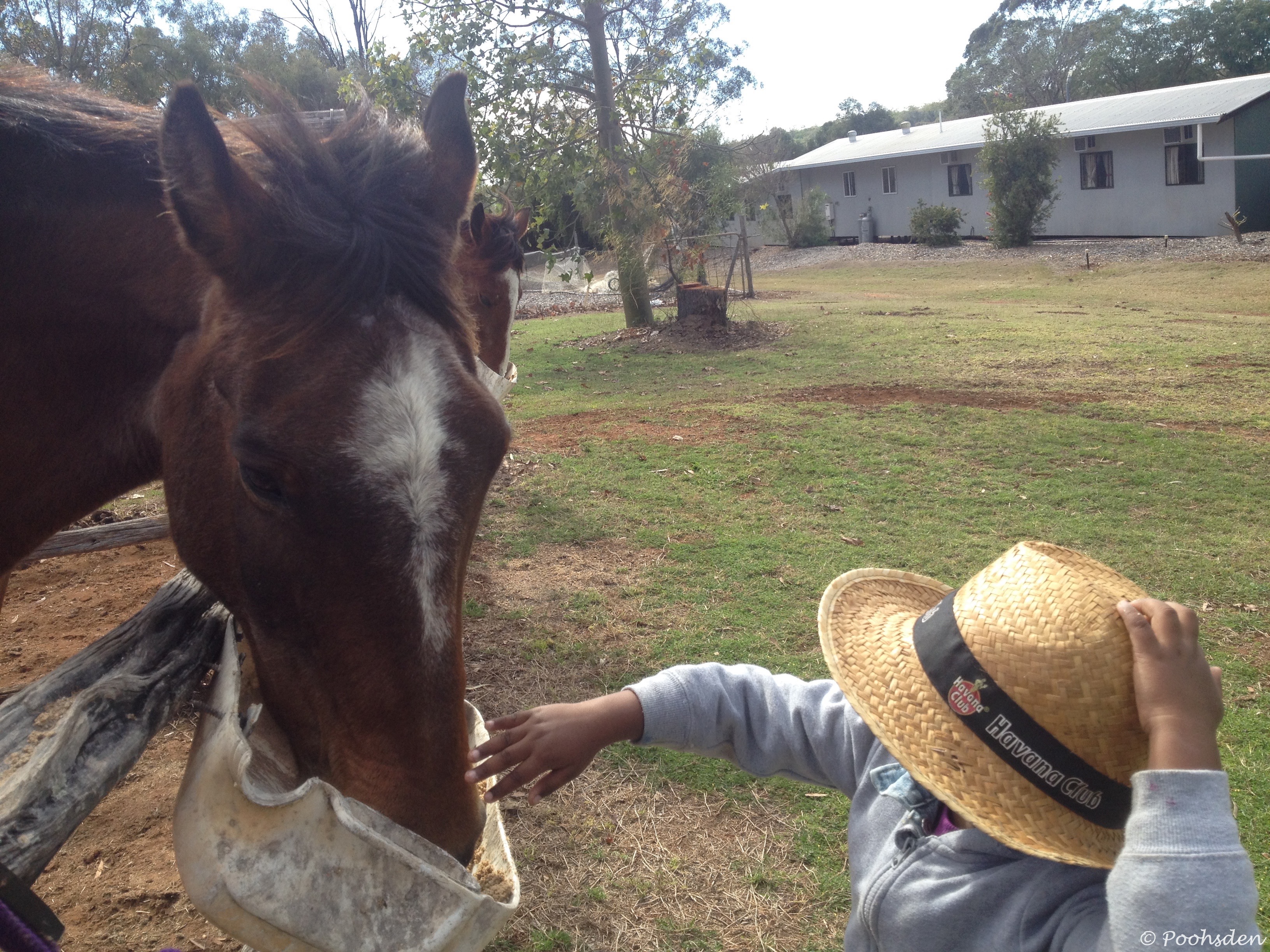 My daughter at a farm in Australia. Her experiences are structured and well-planed unlike my childhood experiences. 