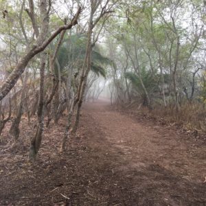 Travel Resolutions - Trail walking