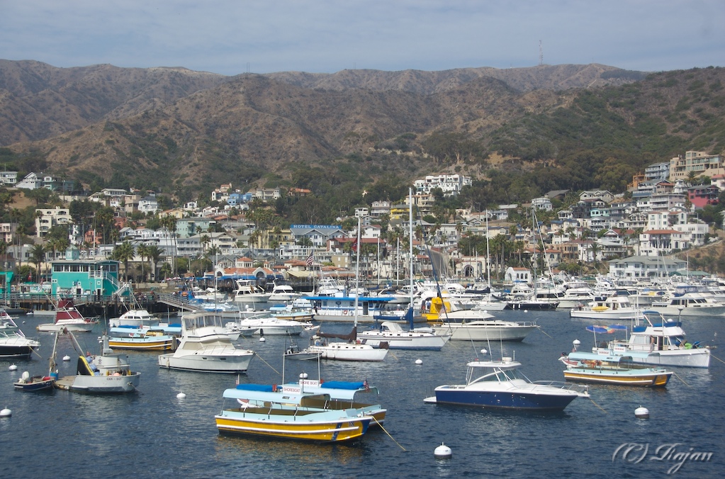 Catalina Island