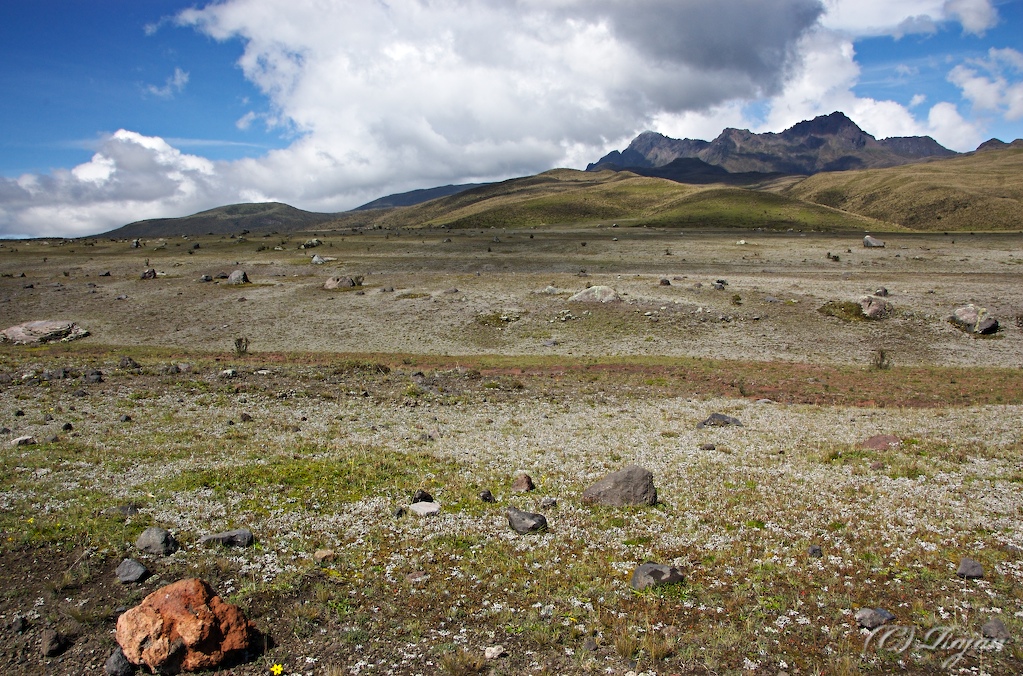 The Valley is still littered with rocks from the previous eruption