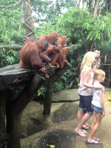 Breakfast @ SG Zoo 4