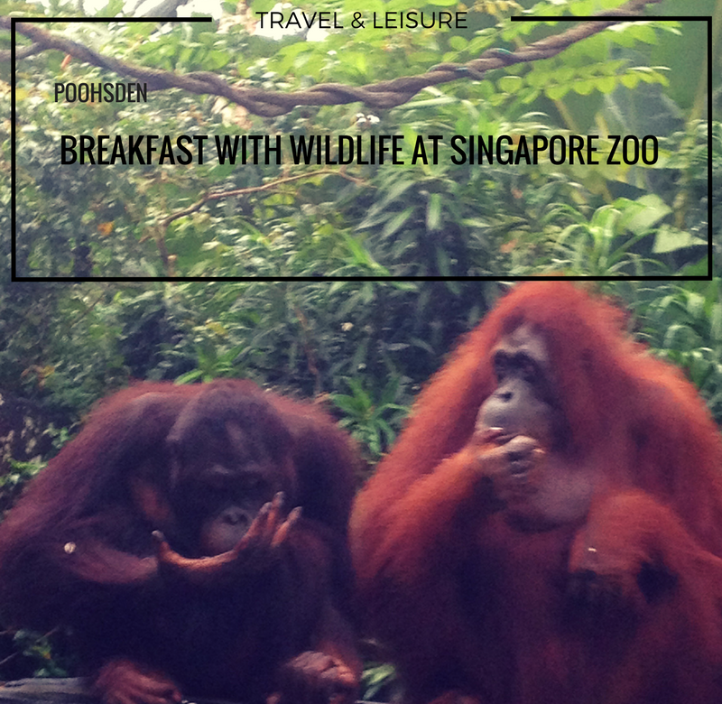 BREAKFAST WITH WILDLIFE AT SINGAPORE ZOO