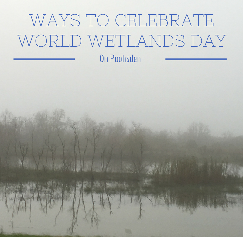 WAYS TO CELEBRATE WORLD WETLANDS DAY